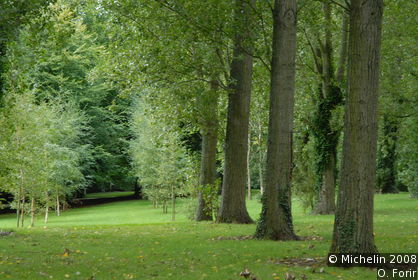 Jardin public