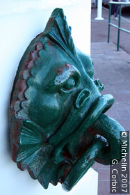 The Sea Museum