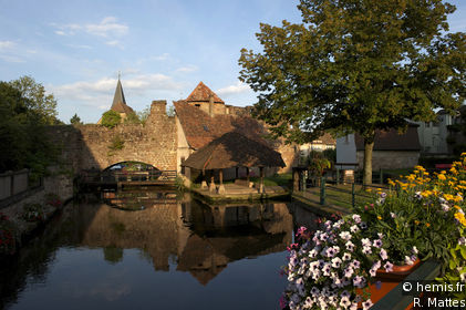 Bruch District