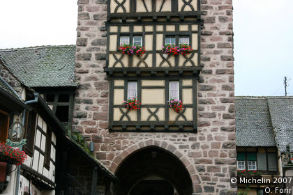 Dolder