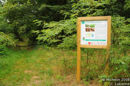 A walk in La Truchère nature reserve
