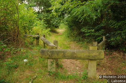 A walk in La Truchère nature reserve