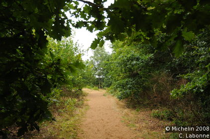 A walk in La Truchère nature reserve
