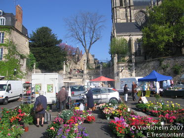 Place et quinconces des Jacobins