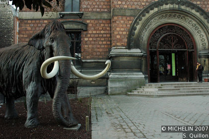 Muséum National d'Histoire Naturelle