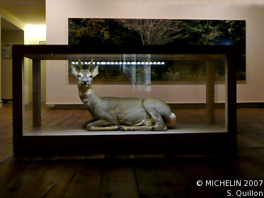 Musée de la Chasse et de la Nature