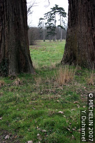 The Grounds of Champs-sur-Marne Castle