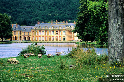 The Grounds