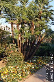 Olbius Riquier Gardens