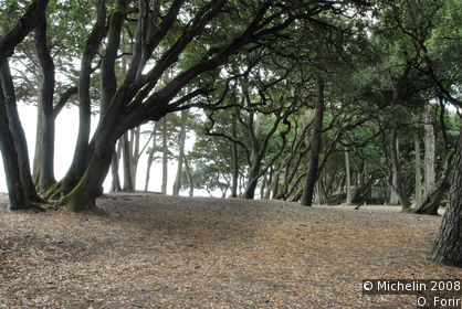 Bois de la Chaise