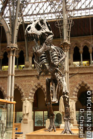 University Museum of Natural History