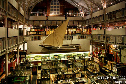 Pitt Rivers Museum