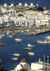 The Harbour