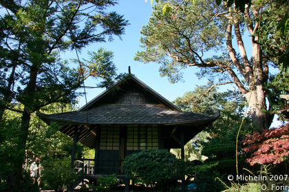 Japanese Gardens