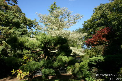 Japanese Gardens