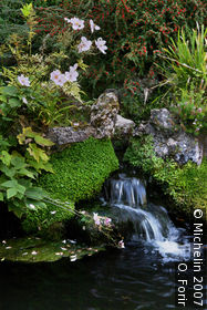 Japanese Gardens