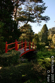 Japanese Gardens
