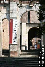Municipal Collections