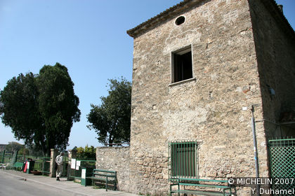 Basilica
