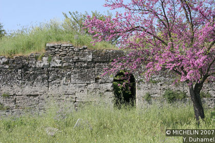 Surrounding wall
