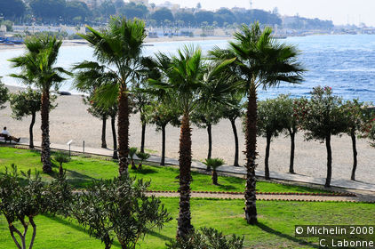 Lungomare (Promenade alongside the sea)