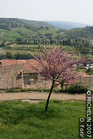 Strada Panoramica (Panoramic road)
