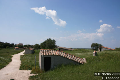 Necropoli etrusca (Etruscan necropolis)