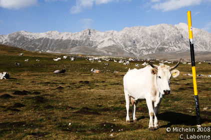 Campo Imperatore