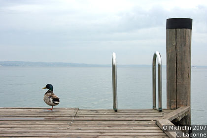 Punta di San Vigilio