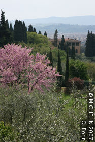 Strada panoramica