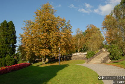 The spa park