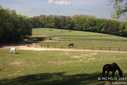 Nationaal Park Veluwezoom