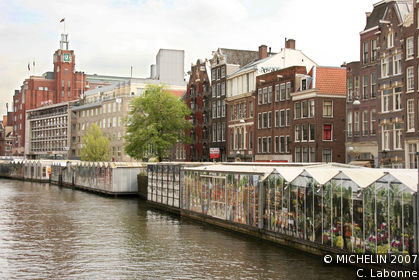 Flower Market (Bloemenmarkt)