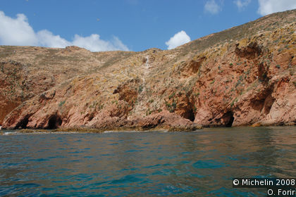 Berlenga Island Boat Trip