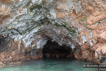 Berlenga Island Boat Trip