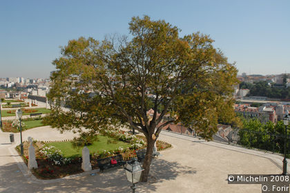 São Pedro de Alcântara viewpoint