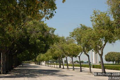 Eduardo VII Park