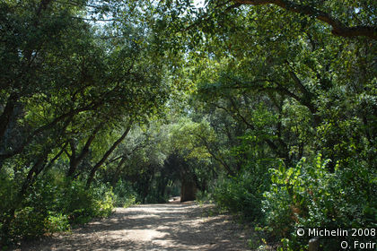 Florestal de Monsanto Park