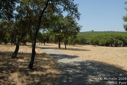 Florestal de Monsanto Park