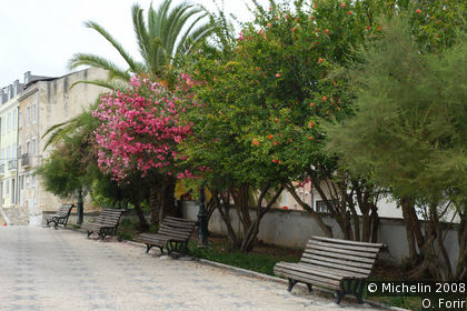 Santo Amaro