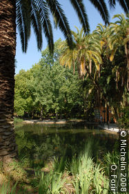 Da Estrela gardens