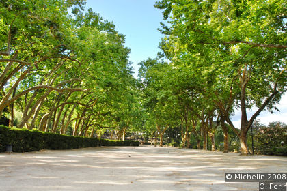 Park of D. Carlos I