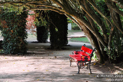 Park of D. Carlos I