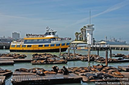 Fisherman's Wharf