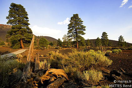 Sunset Crater Volcano National Monument