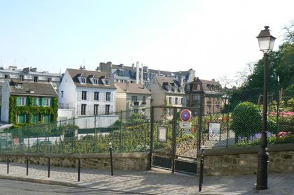 The Montmartre Vineyard