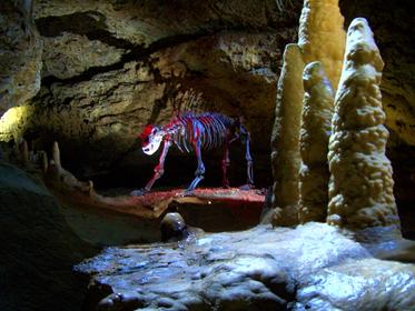 The devil's caves