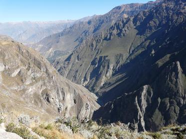 Cañón del Colca