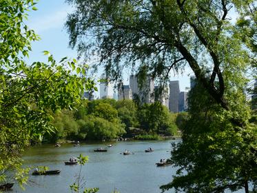 Central Park