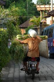 Dans les rues d'Ubud